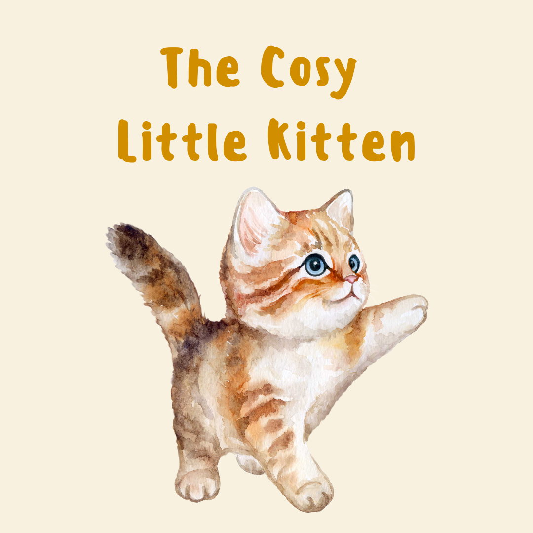 The Cosy Little Kitten