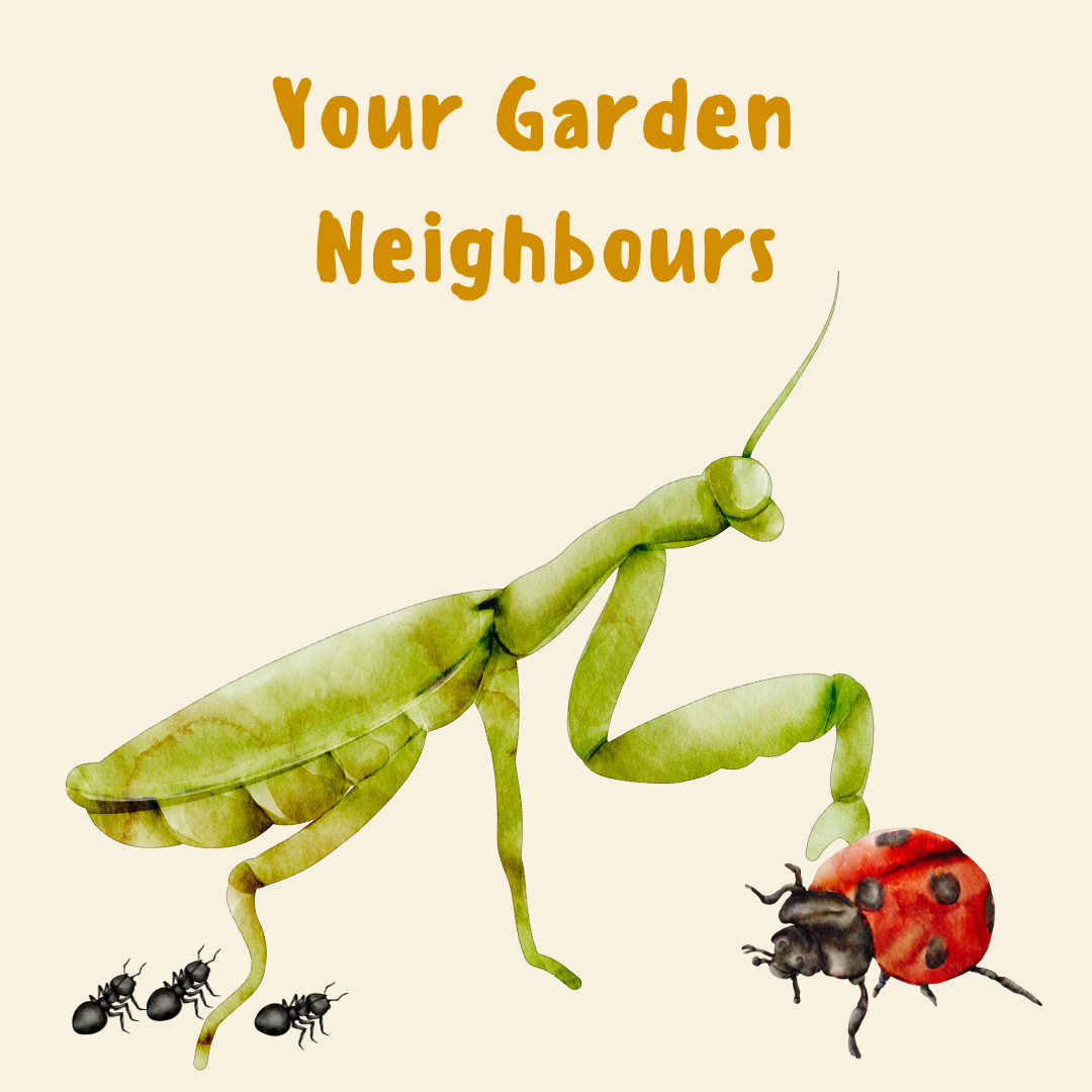 Your Garden Neighbours