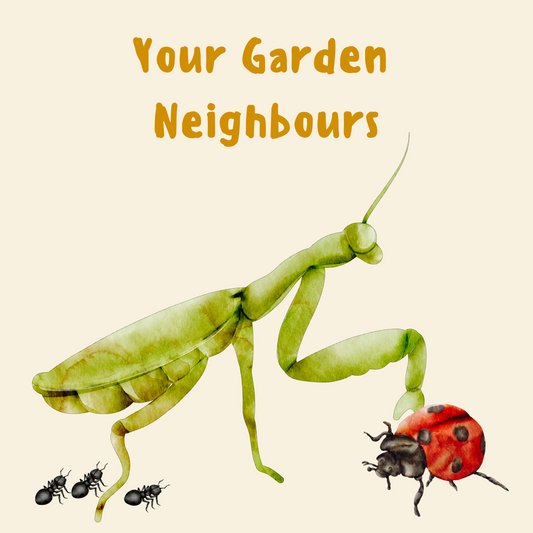 Your Garden Neighbours
